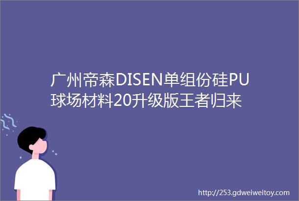 广州帝森DISEN单组份硅PU球场材料20升级版王者归来